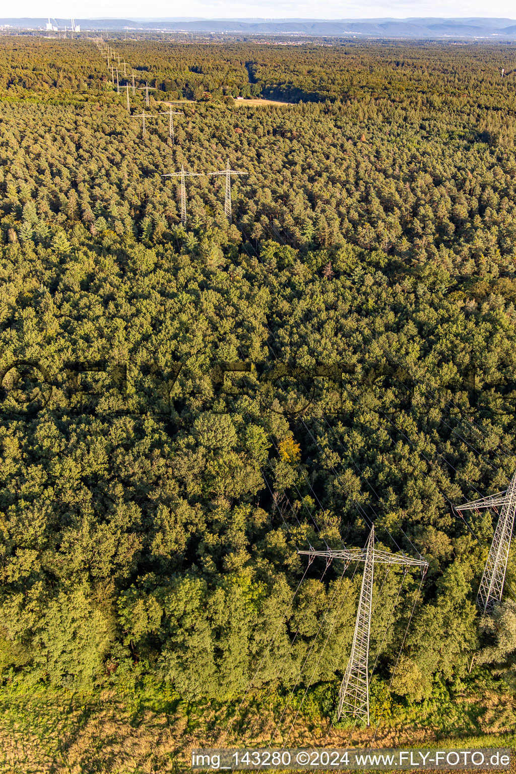 Vue aérienne de Deux lignes à haute tension parallèles au-dessus du Bienwald à Wörth am Rhein dans le département Rhénanie-Palatinat, Allemagne