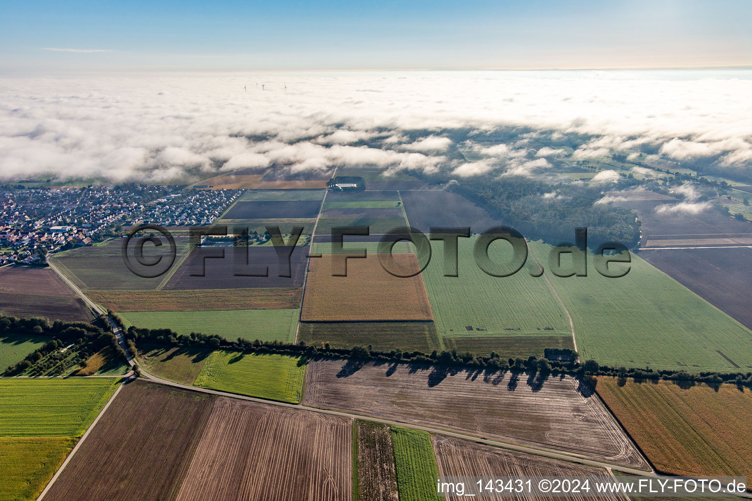 Vue aérienne de Chemin entre les vents et Steinweiler au bord du nuage à Steinweiler dans le département Rhénanie-Palatinat, Allemagne