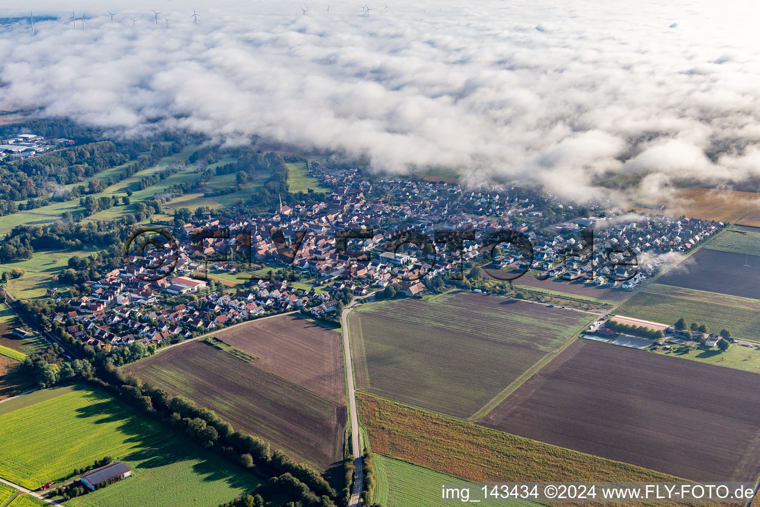 Vue aérienne de Village au bord des nuages à Steinweiler dans le département Rhénanie-Palatinat, Allemagne