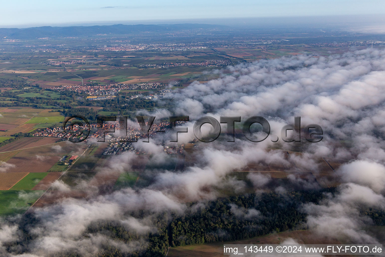 Vue aérienne de Village au bord des nuages du sud à Steinweiler dans le département Rhénanie-Palatinat, Allemagne