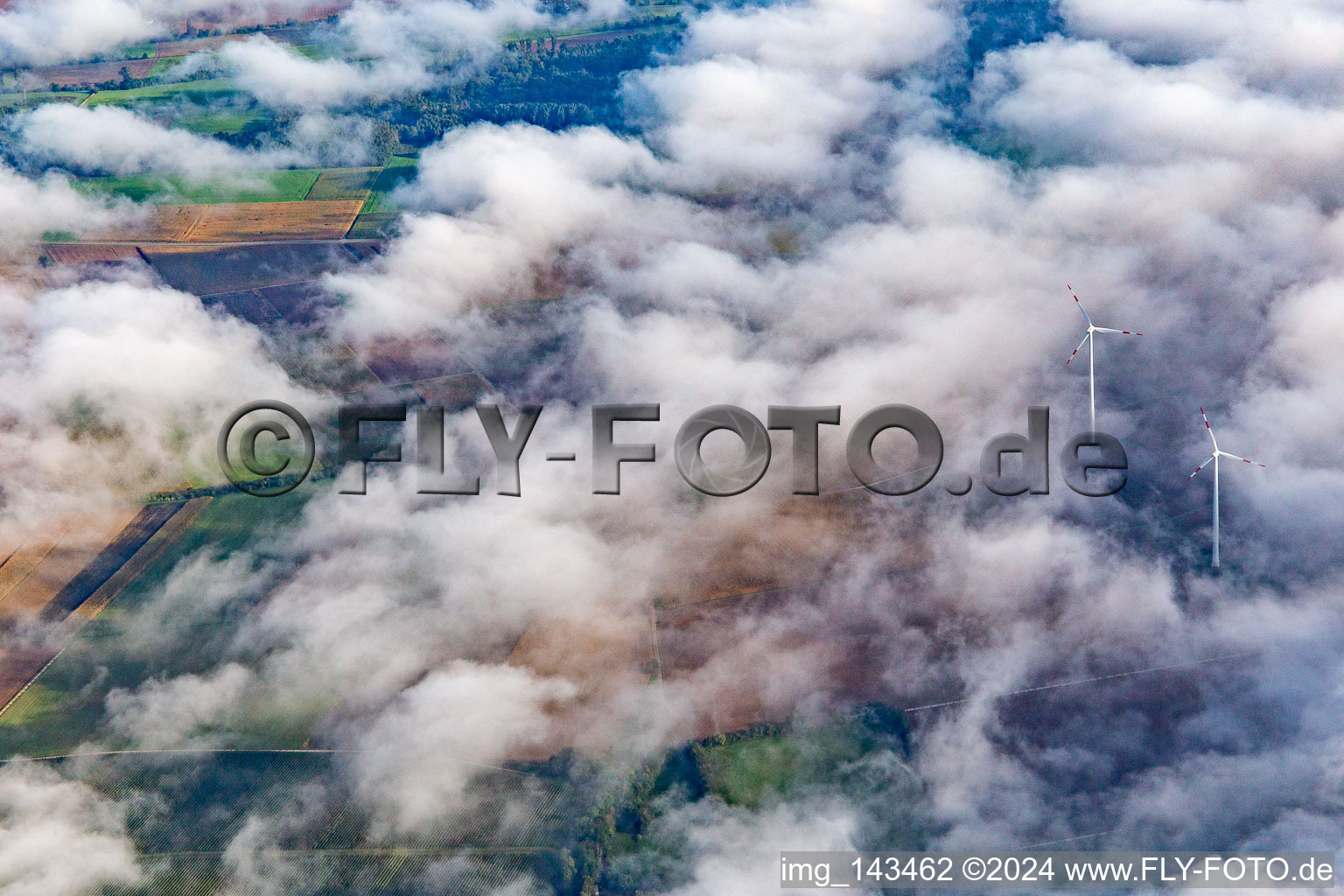 Vue oblique de Parc éolien à Minfeld partiellement dans les nuages à Minfeld dans le département Rhénanie-Palatinat, Allemagne
