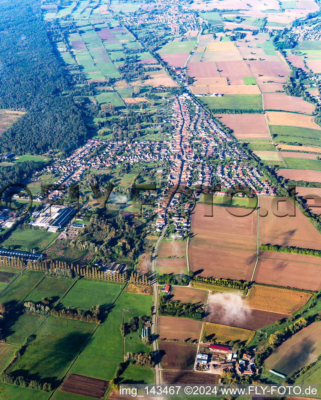 Vue aérienne de De l'est à le quartier Schaidt in Wörth am Rhein dans le département Rhénanie-Palatinat, Allemagne