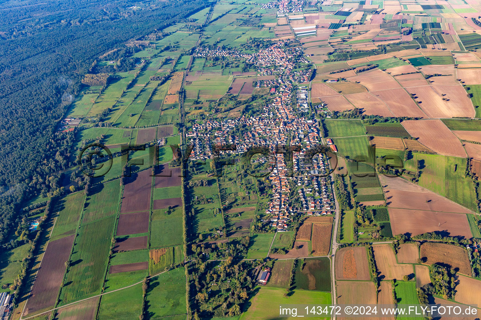 Vue aérienne de De l'est à Steinfeld dans le département Rhénanie-Palatinat, Allemagne