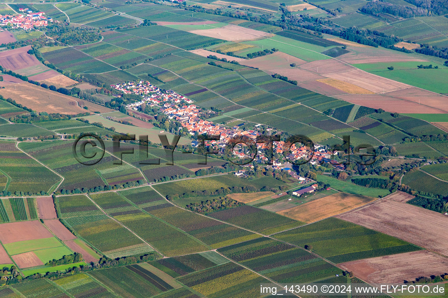 Vue aérienne de Ville du sud-est à Niederhorbach dans le département Rhénanie-Palatinat, Allemagne
