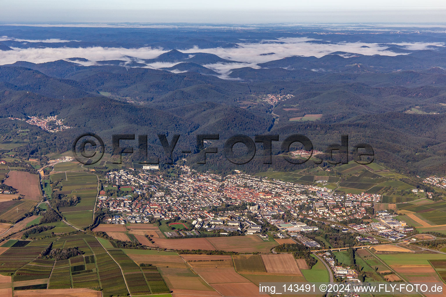 Vue aérienne de Ville vue de l'est à Bad Bergzabern dans le département Rhénanie-Palatinat, Allemagne