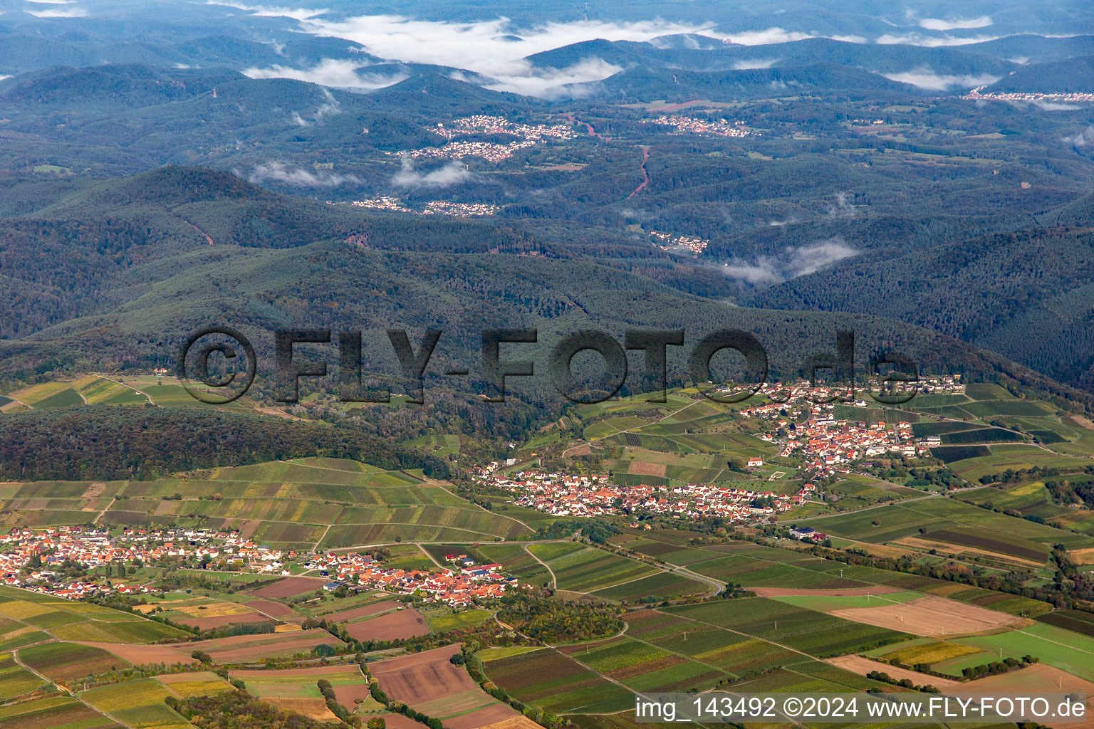 Vue aérienne de Ville vue de l'est à le quartier Gleishorbach in Gleiszellen-Gleishorbach dans le département Rhénanie-Palatinat, Allemagne
