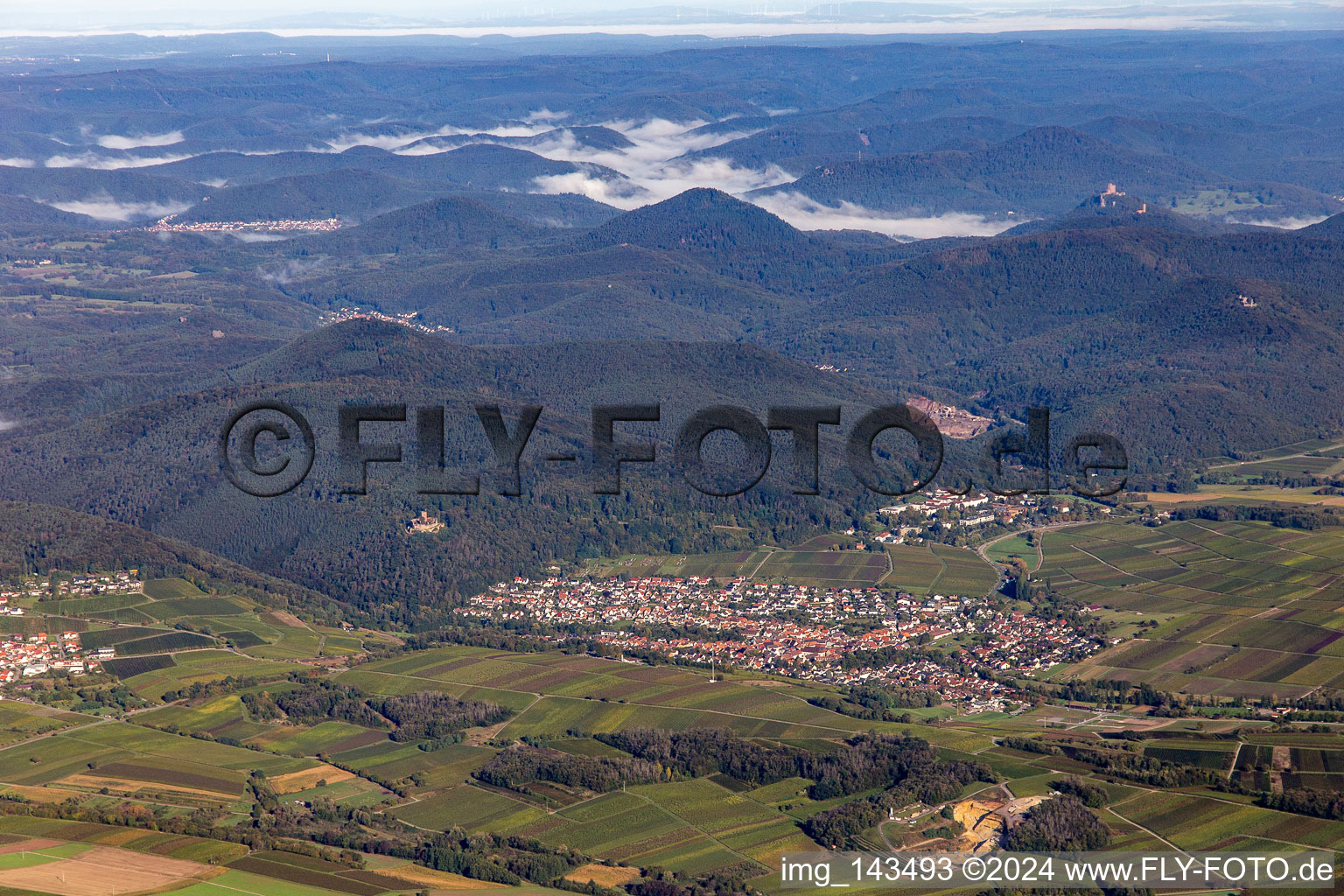 Vue aérienne de Ville vue de l'est à Klingenmünster dans le département Rhénanie-Palatinat, Allemagne