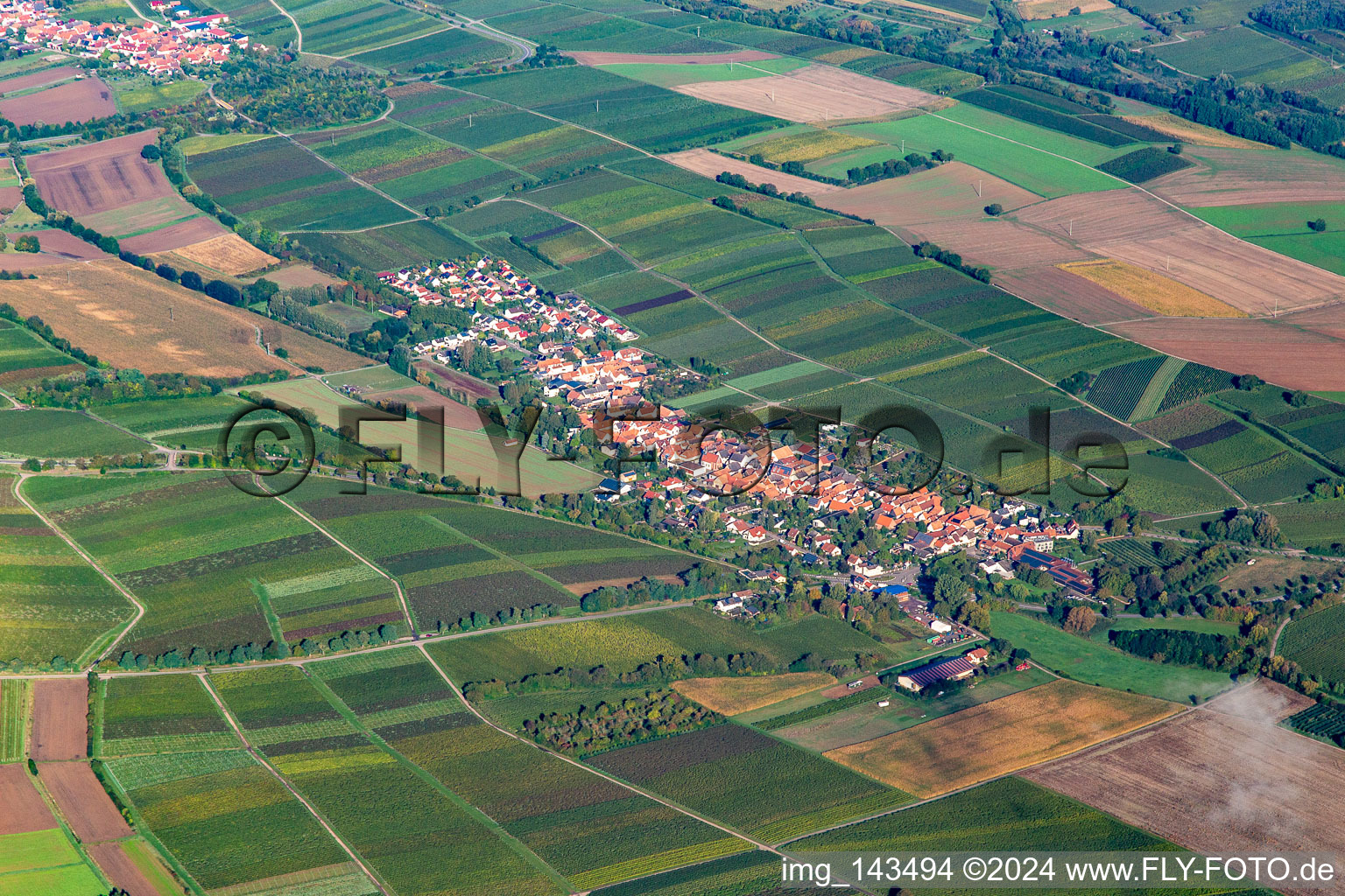 Vue aérienne de Ville du sud-est à Niederhorbach dans le département Rhénanie-Palatinat, Allemagne