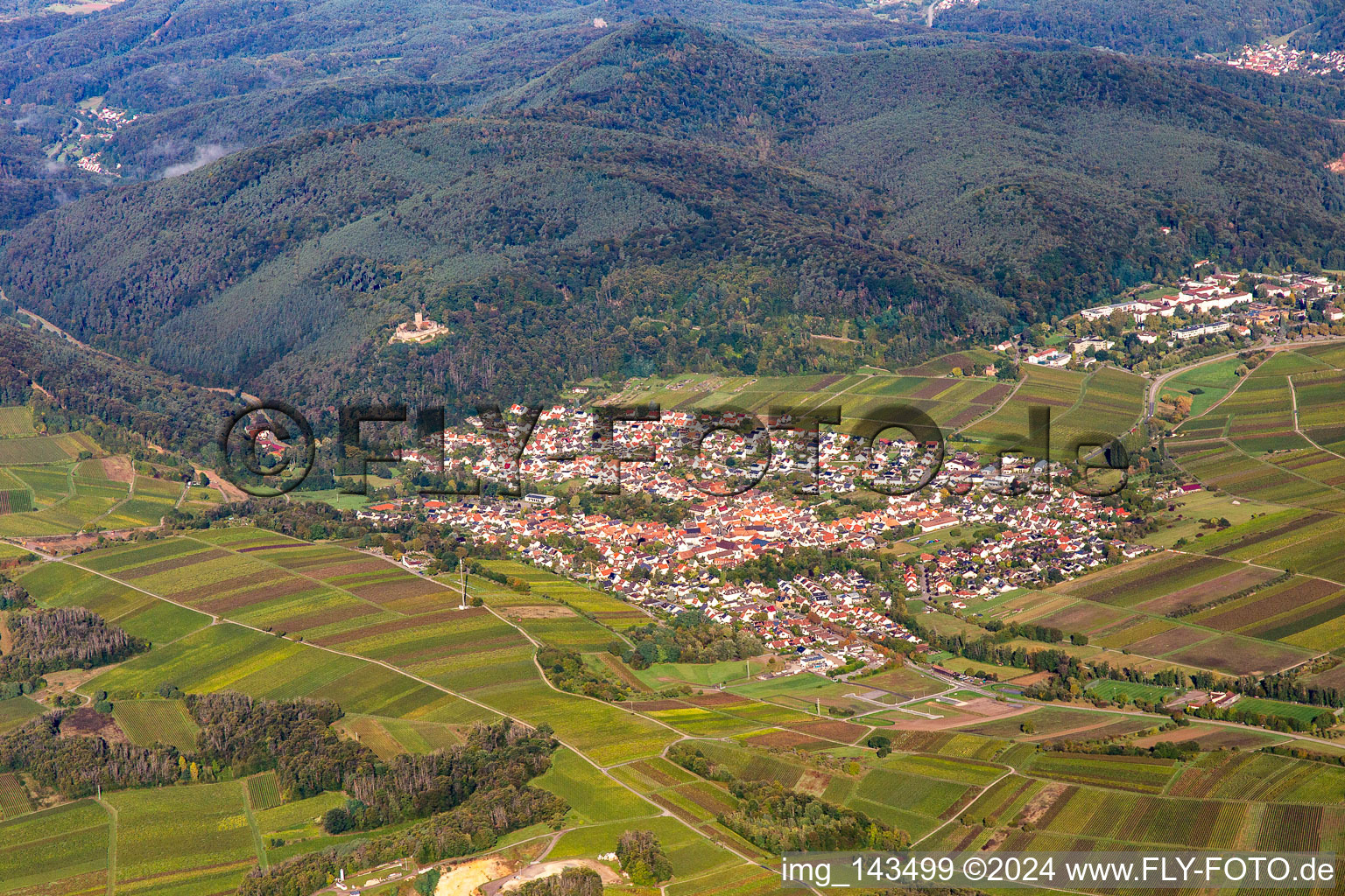 Vue aérienne de Ville vue de l'est à Klingenmünster dans le département Rhénanie-Palatinat, Allemagne