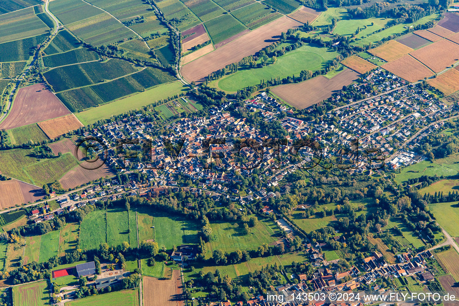 Vue aérienne de Quartier Billigheim in Billigheim-Ingenheim dans le département Rhénanie-Palatinat, Allemagne