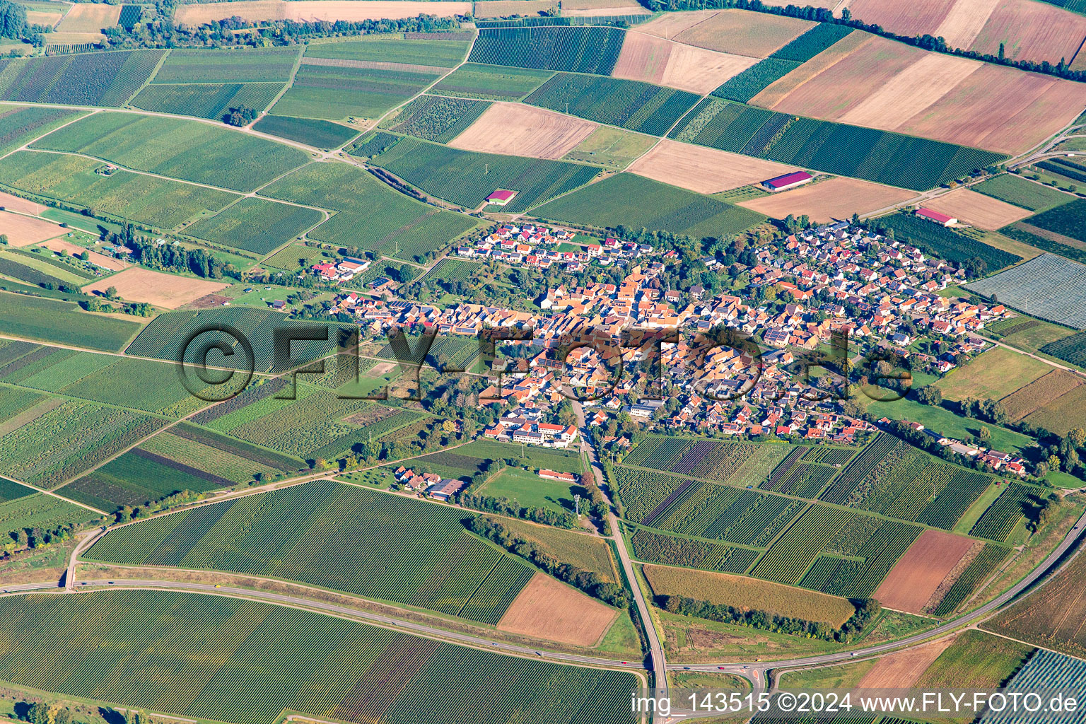 Vue aérienne de Du sud à Impflingen dans le département Rhénanie-Palatinat, Allemagne
