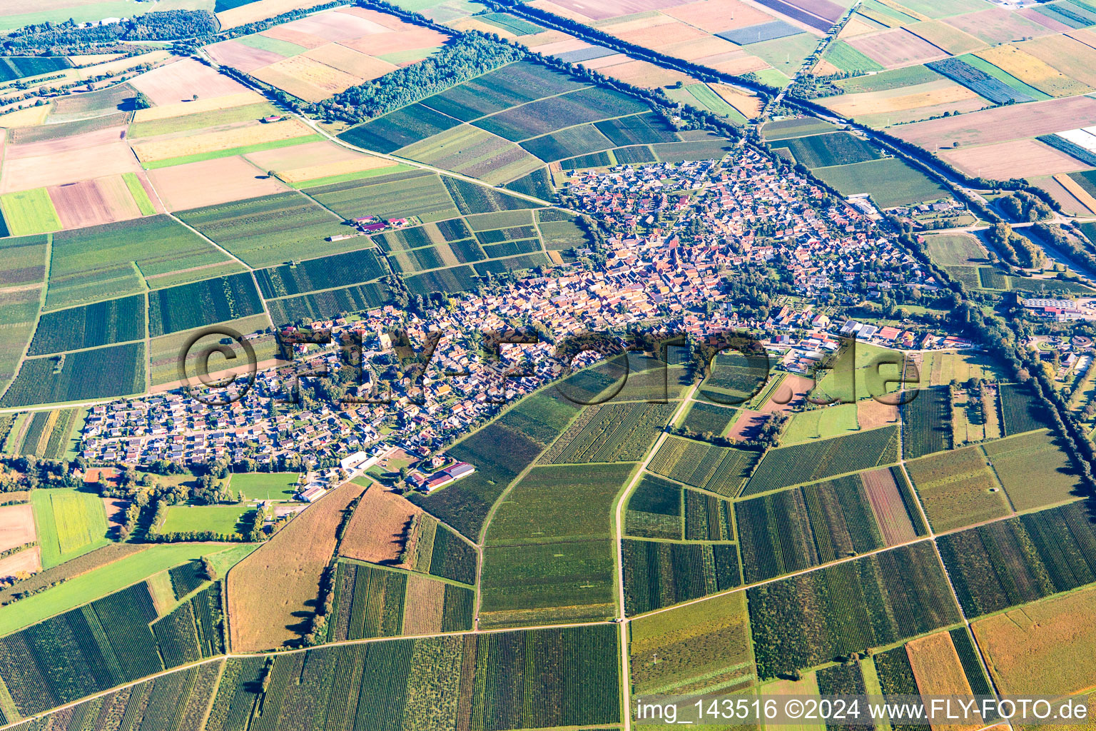 Vue aérienne de Ville du sud-ouest à Insheim dans le département Rhénanie-Palatinat, Allemagne