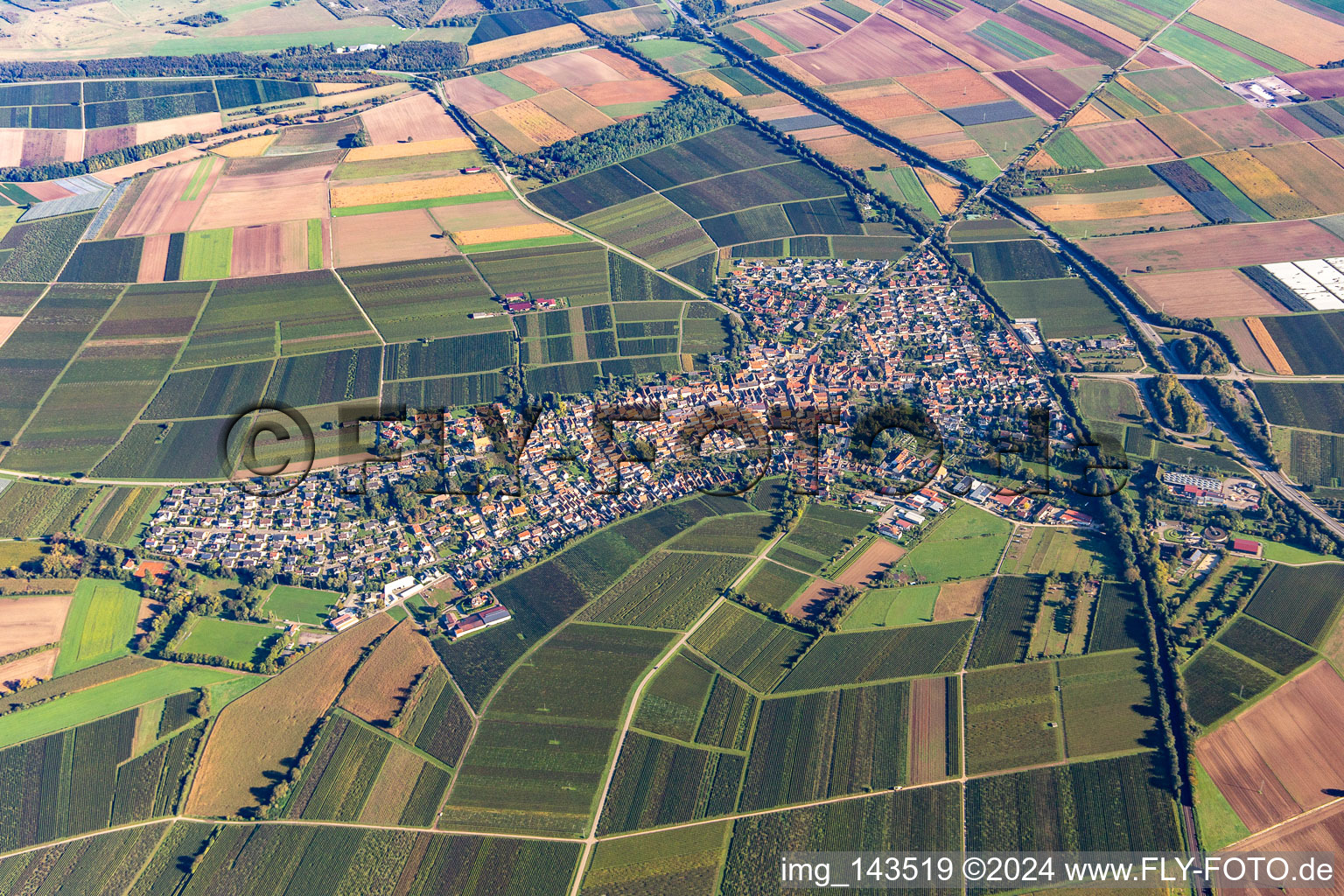 Vue aérienne de Ville du sud à Insheim dans le département Rhénanie-Palatinat, Allemagne