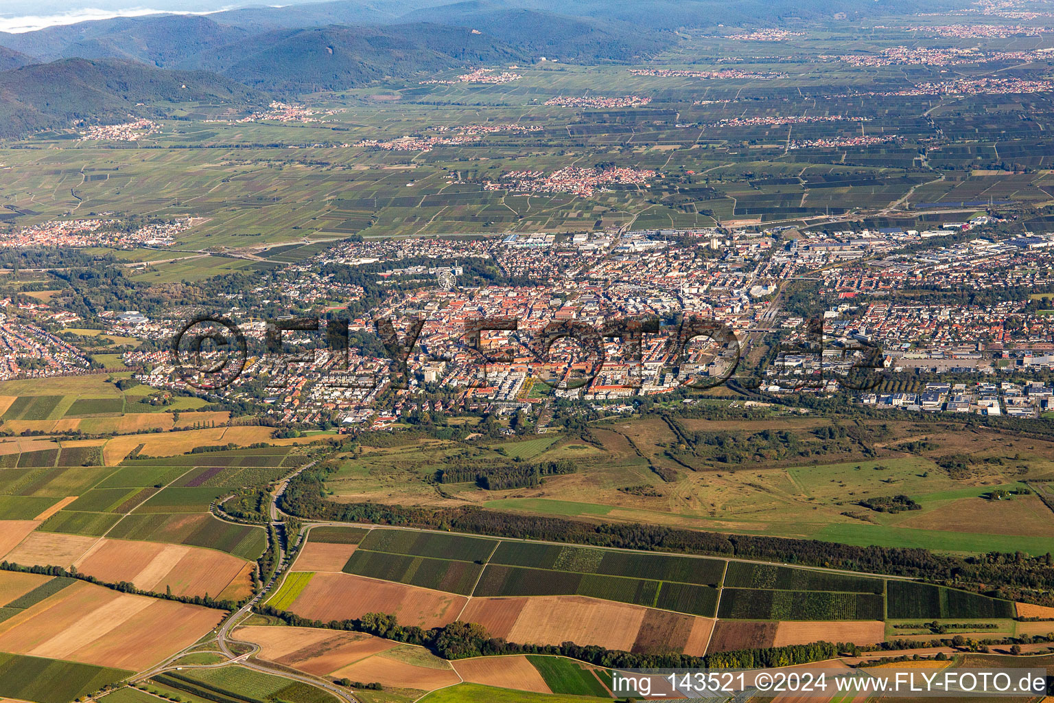Vue aérienne de Ville du sud à Landau in der Pfalz dans le département Rhénanie-Palatinat, Allemagne