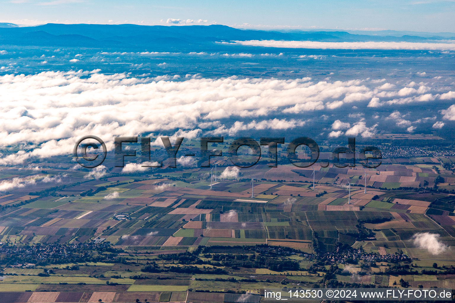 Vue aérienne de Parc éolien près de Freckenfeld à Hergersweiler dans le département Rhénanie-Palatinat, Allemagne