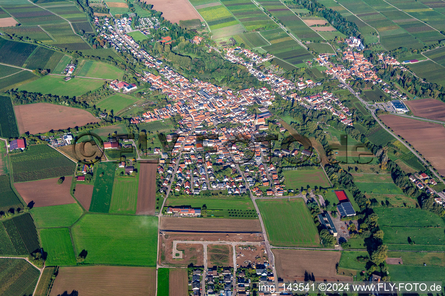Vue aérienne de Ville vue de l'est à le quartier Ingenheim in Billigheim-Ingenheim dans le département Rhénanie-Palatinat, Allemagne
