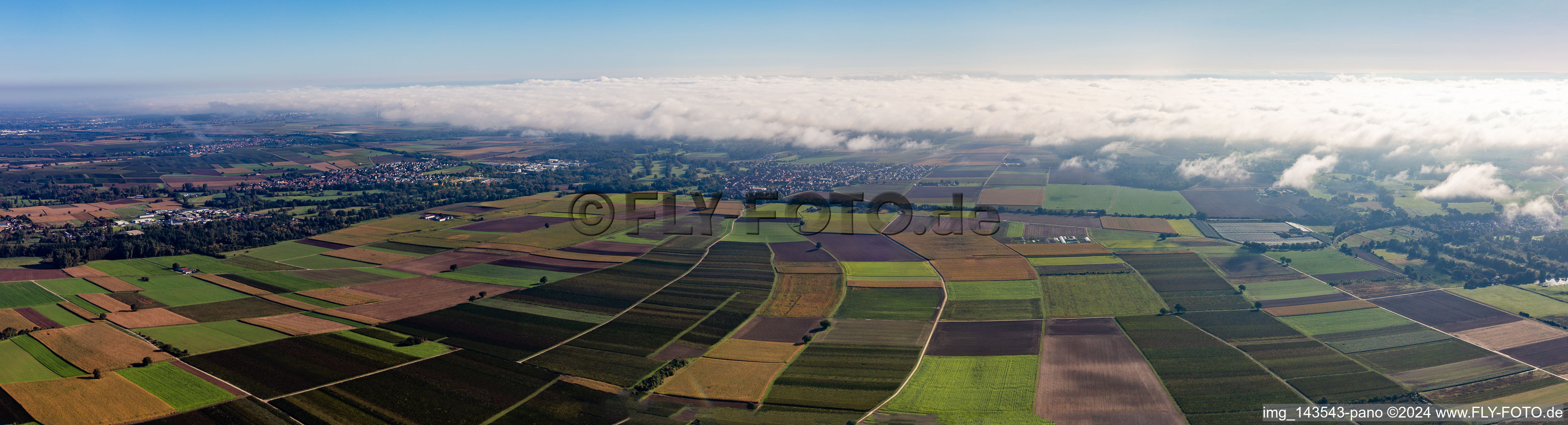 Vue aérienne de Panorama Tiefental à Billigheim-Ingenheim dans le département Rhénanie-Palatinat, Allemagne