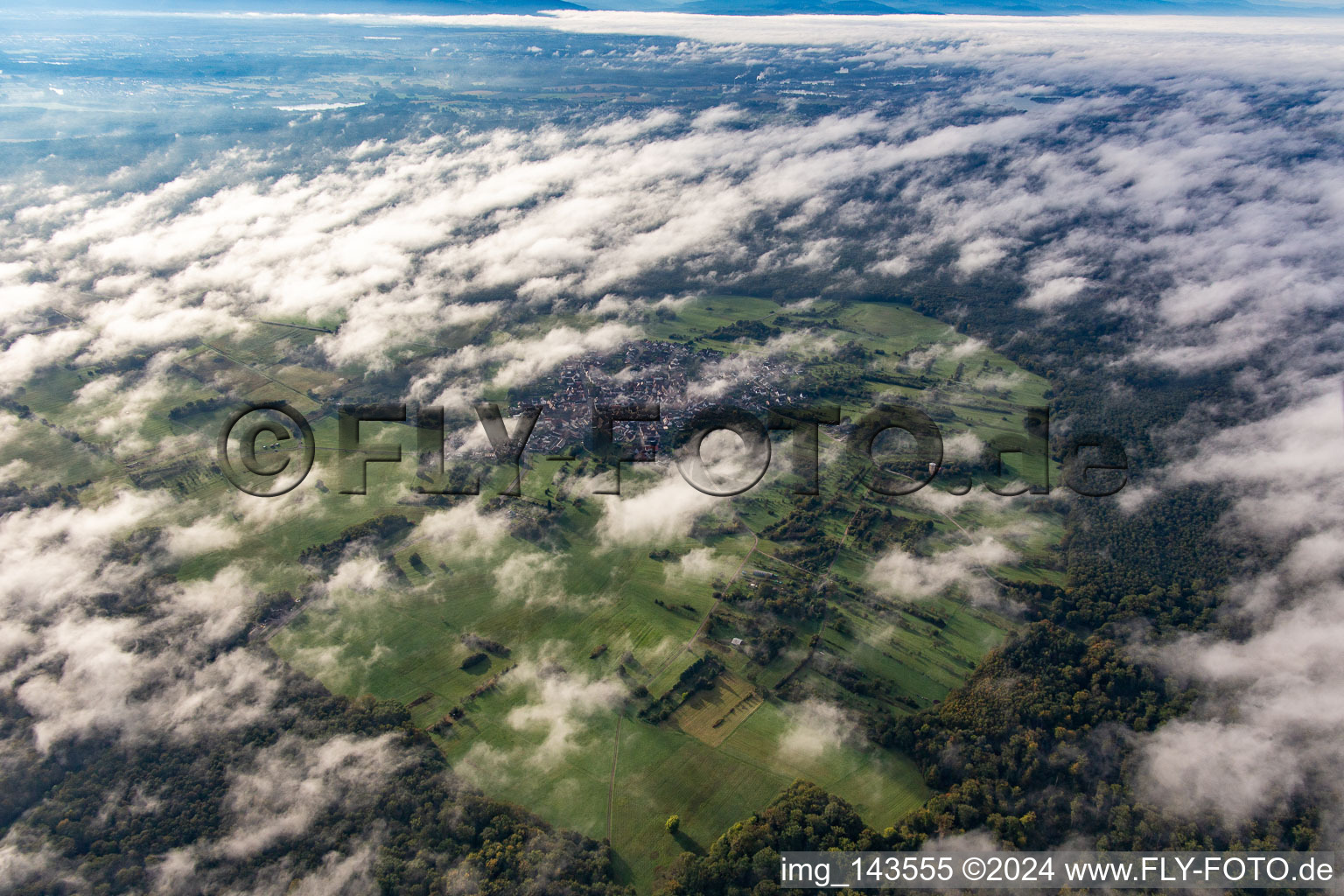 Vue aérienne de Une île dans le Bienwald sous les nuages à le quartier Büchelberg in Wörth am Rhein dans le département Rhénanie-Palatinat, Allemagne