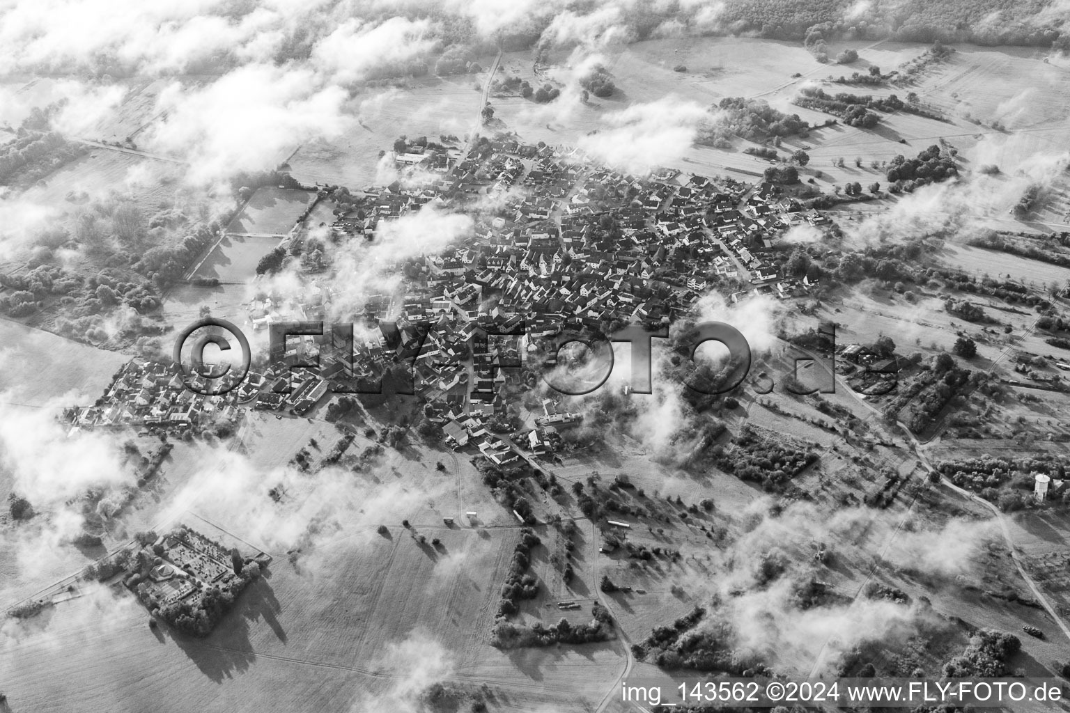 Photographie aérienne de Une île dans le Bienwald sous les nuages à le quartier Büchelberg in Wörth am Rhein dans le département Rhénanie-Palatinat, Allemagne