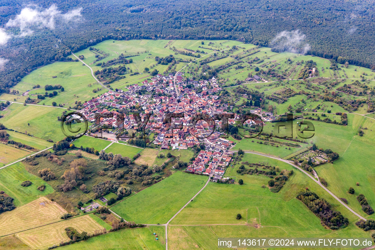 Vue oblique de Une île dans le Bienwald sous les nuages à le quartier Büchelberg in Wörth am Rhein dans le département Rhénanie-Palatinat, Allemagne