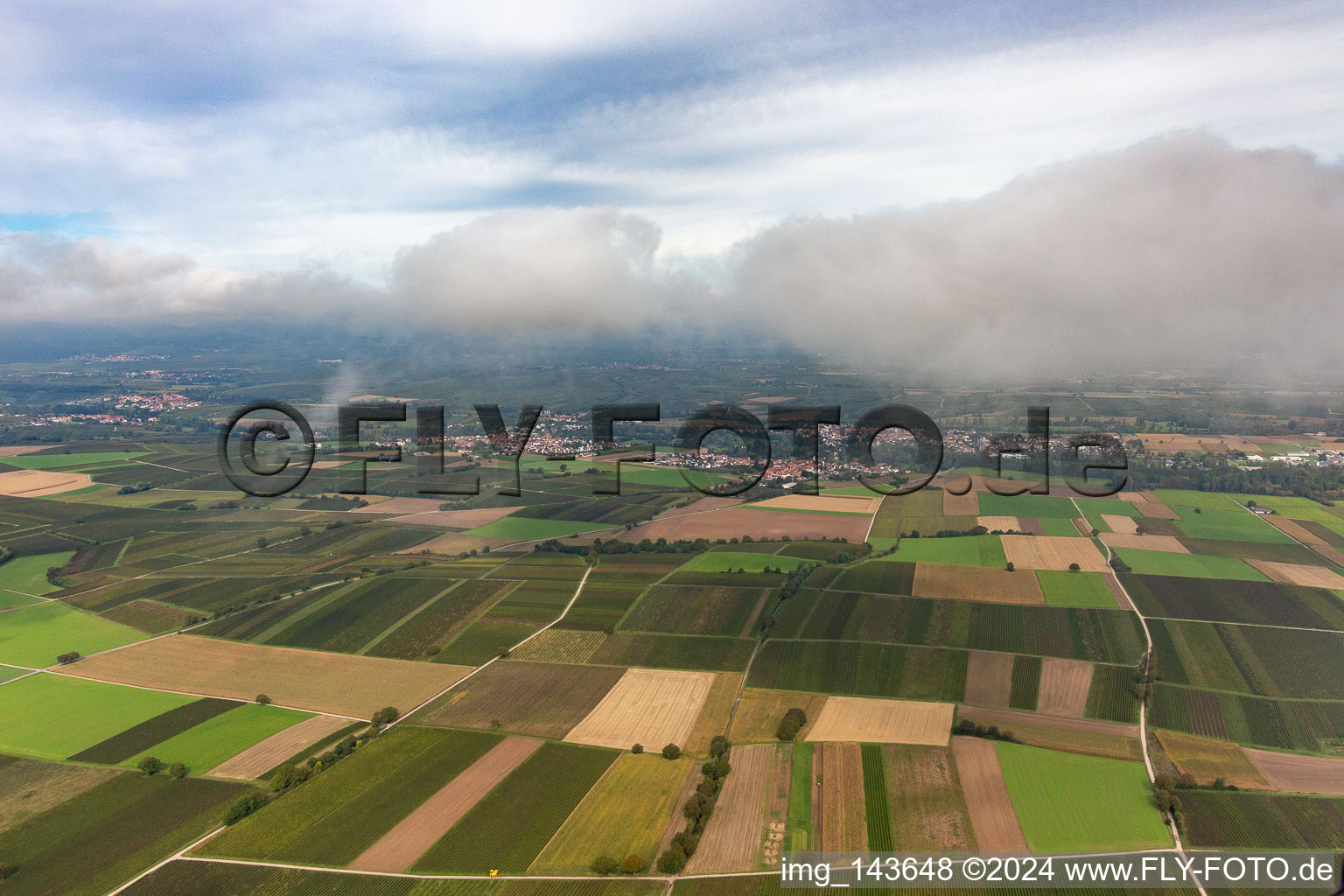 Vue aérienne de Village sous les nuages d'automne du sud à le quartier Billigheim in Billigheim-Ingenheim dans le département Rhénanie-Palatinat, Allemagne