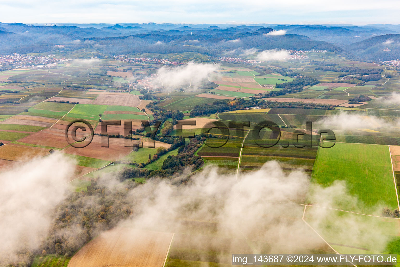 Vue aérienne de Horbachtal sous les nuages d'automne de l'est à le quartier Ingenheim in Billigheim-Ingenheim dans le département Rhénanie-Palatinat, Allemagne