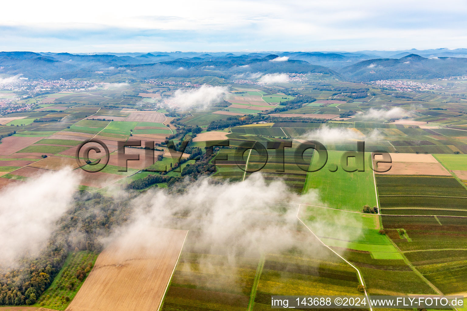 Vue aérienne de Horbachtal sous les nuages d'automne de l'est à le quartier Ingenheim in Billigheim-Ingenheim dans le département Rhénanie-Palatinat, Allemagne
