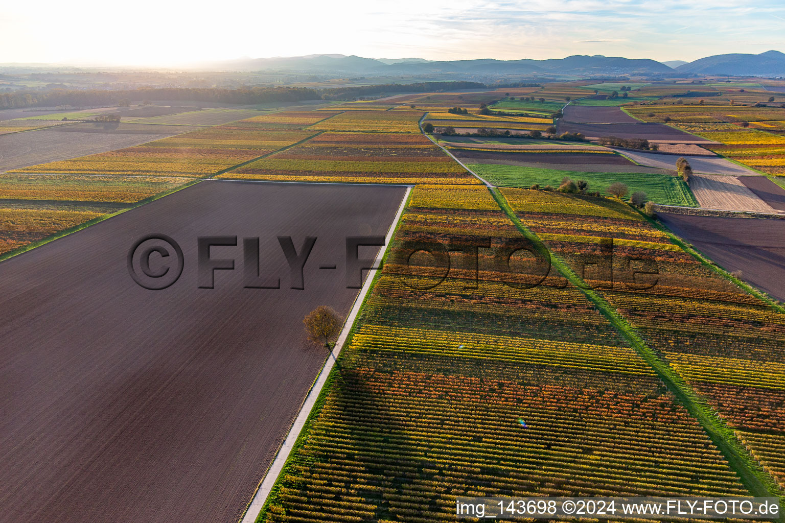 Vue aérienne de Vignobles du sud de la Wienstraße dans les feuilles d'automne à le quartier Ingenheim in Billigheim-Ingenheim dans le département Rhénanie-Palatinat, Allemagne