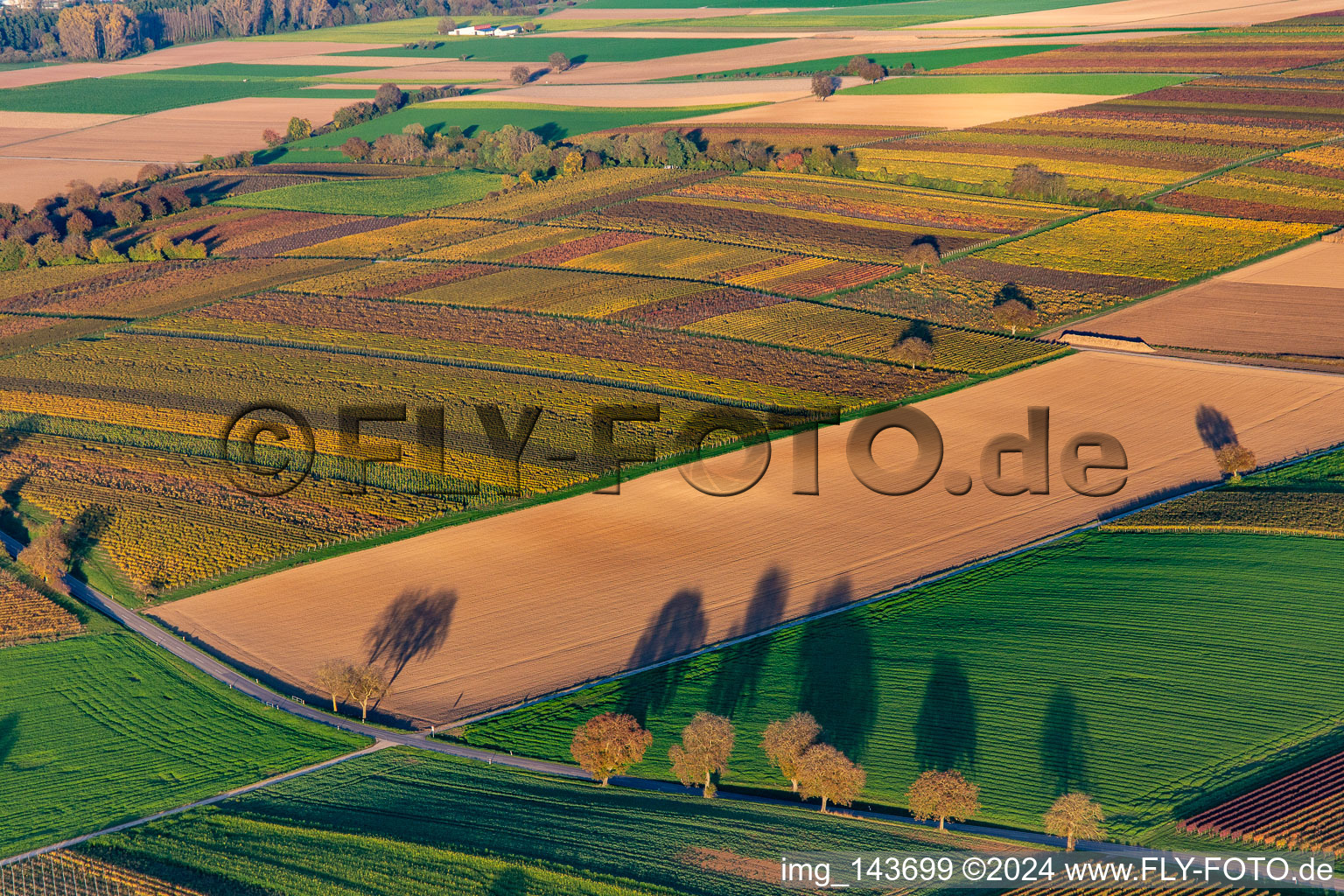 Vue aérienne de Vignobles du sud de la Wienstraße dans les feuilles d'automne à le quartier Ingenheim in Billigheim-Ingenheim dans le département Rhénanie-Palatinat, Allemagne