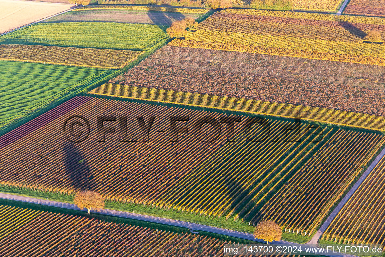 Photographie aérienne de Vignobles du sud de la Wienstraße dans les feuilles d'automne à le quartier Ingenheim in Billigheim-Ingenheim dans le département Rhénanie-Palatinat, Allemagne