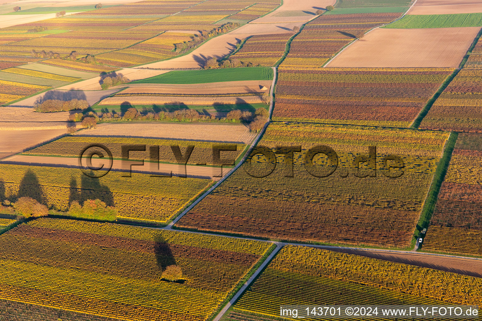 Vue aérienne de Vignobles du sud de la Wienstraße dans les feuilles d'automne à le quartier Mühlhofen in Billigheim-Ingenheim dans le département Rhénanie-Palatinat, Allemagne