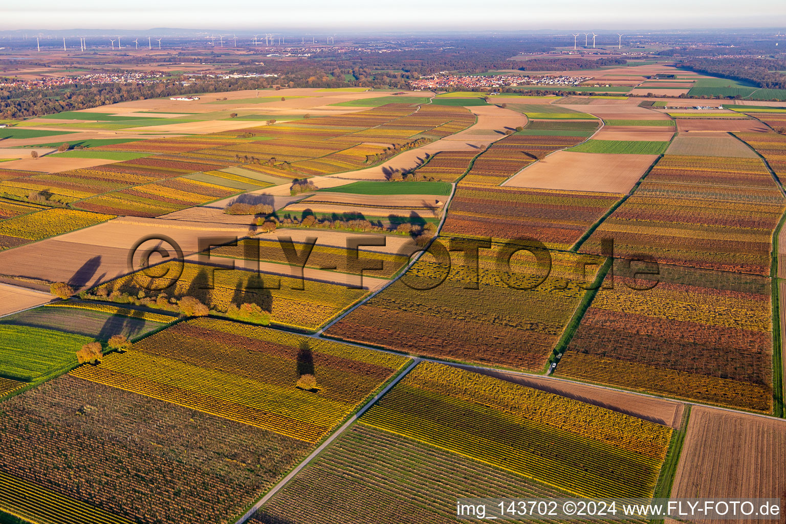 Vue aérienne de Vignobles du sud de la Wienstraße dans les feuilles d'automne à le quartier Mühlhofen in Billigheim-Ingenheim dans le département Rhénanie-Palatinat, Allemagne