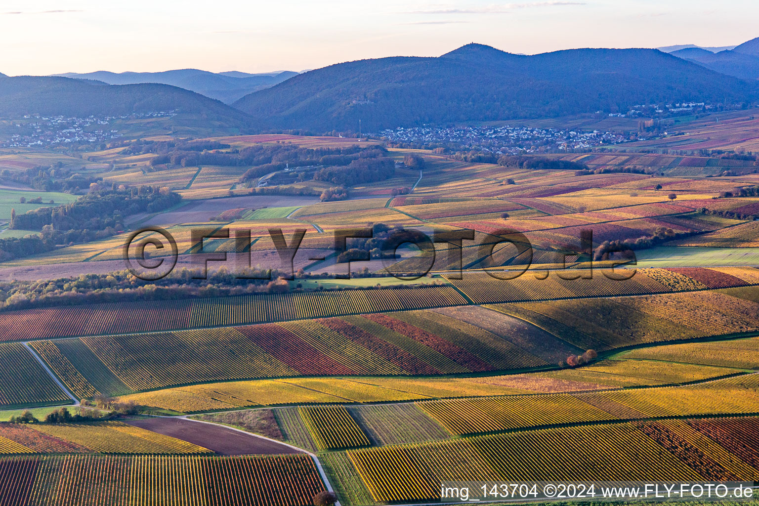 Vignobles du sud de la Wienstraße dans les feuilles d'automne à le quartier Ingenheim in Billigheim-Ingenheim dans le département Rhénanie-Palatinat, Allemagne d'en haut