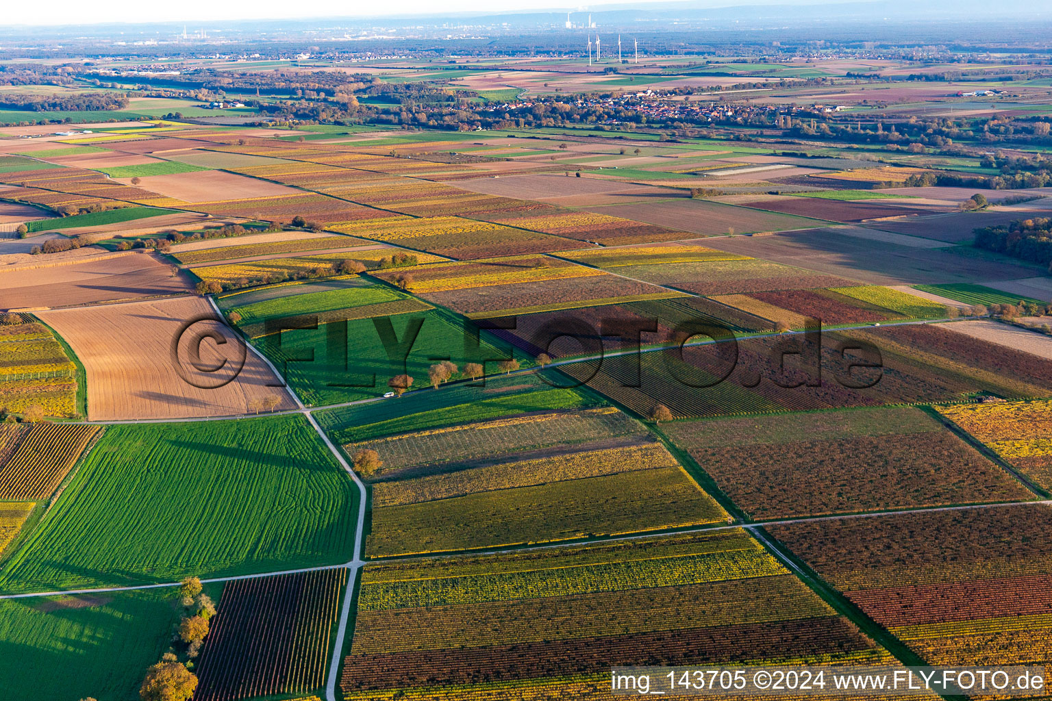 Vignobles du sud de la Wienstraße dans les feuilles d'automne à le quartier Ingenheim in Billigheim-Ingenheim dans le département Rhénanie-Palatinat, Allemagne hors des airs