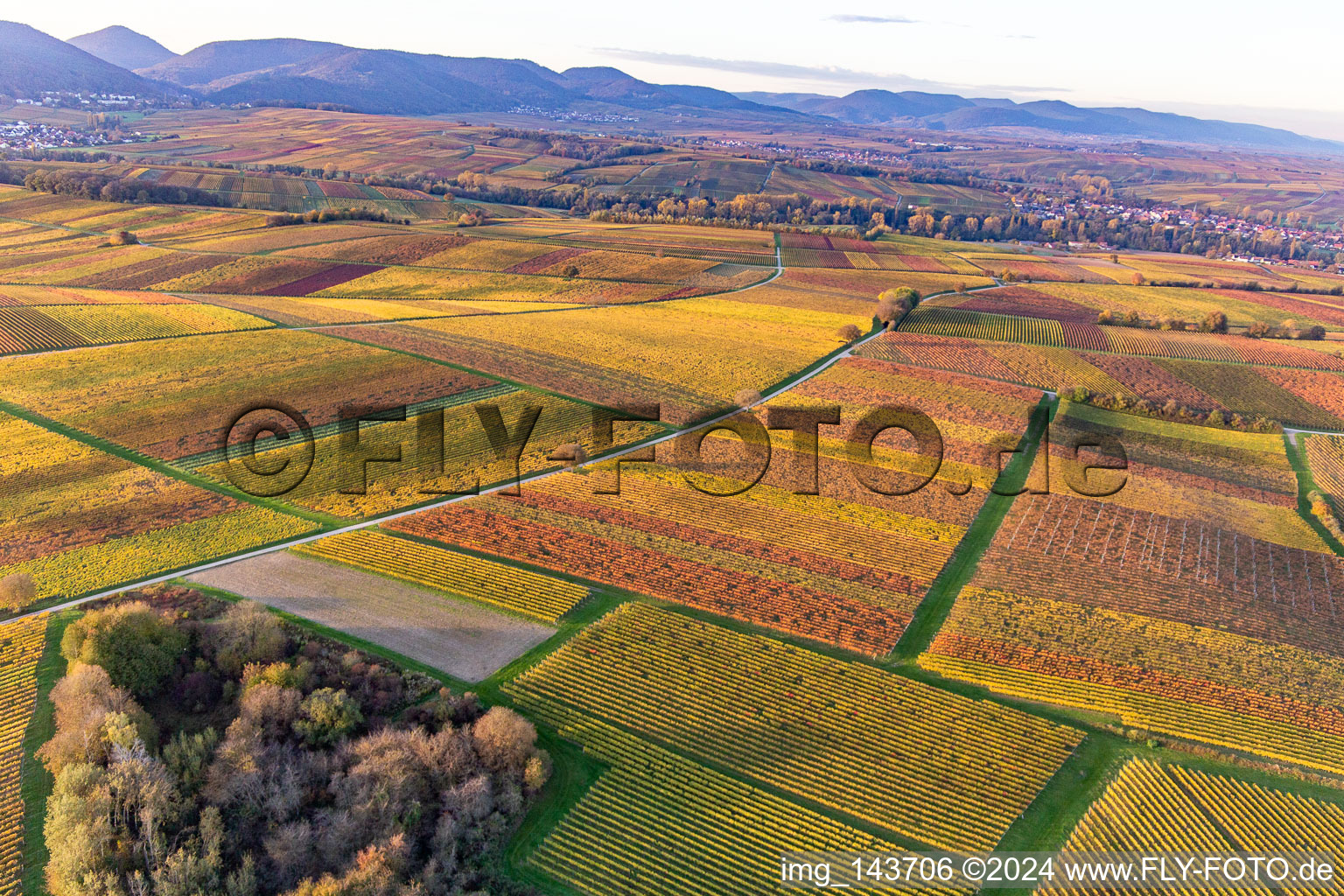 Vue aérienne de Vignobles du sud de la Wienstraße dans les feuilles d'automne à le quartier Klingen in Heuchelheim-Klingen dans le département Rhénanie-Palatinat, Allemagne