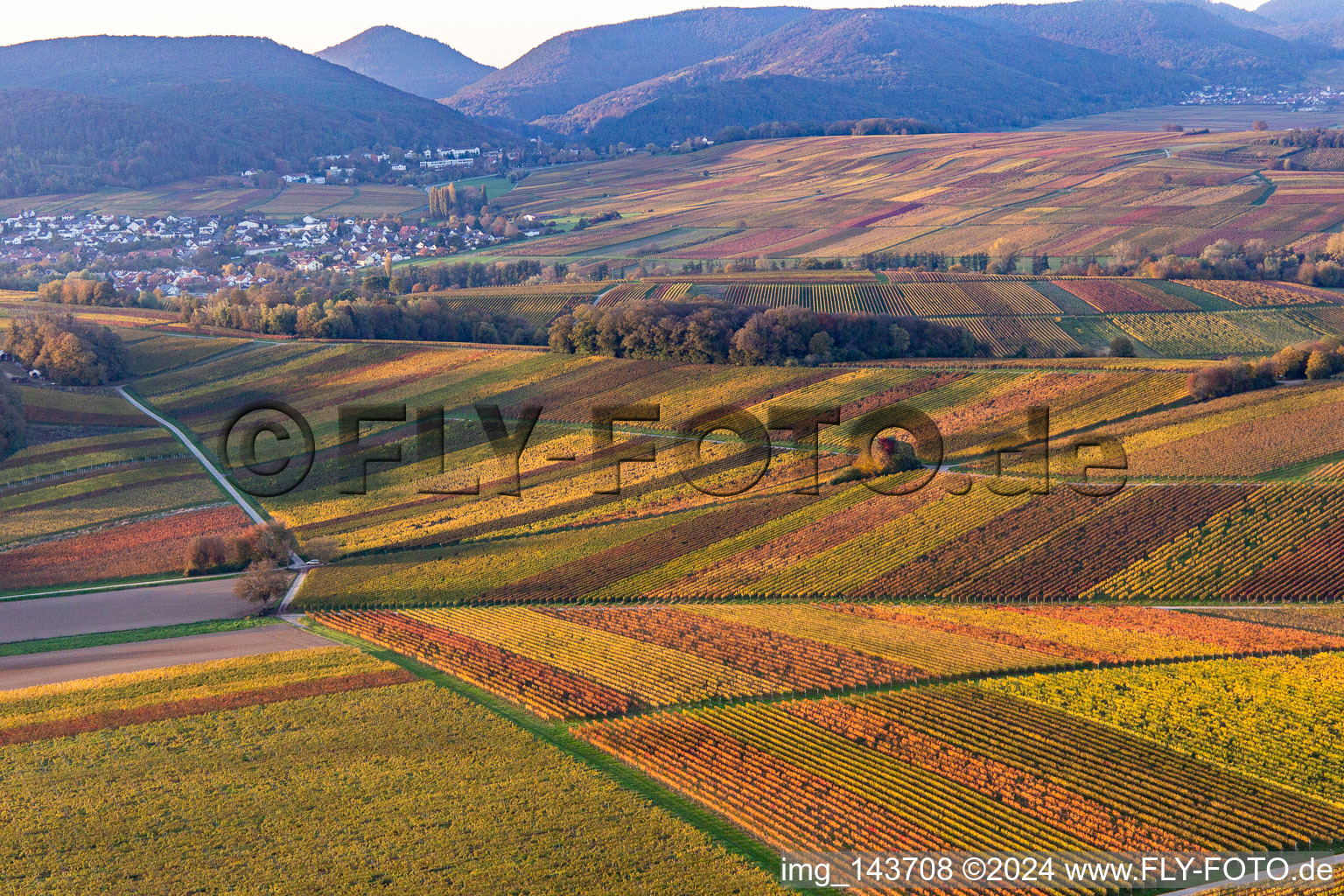 Photographie aérienne de Vignobles du sud de la Wienstraße dans les feuilles d'automne à le quartier Klingen in Heuchelheim-Klingen dans le département Rhénanie-Palatinat, Allemagne