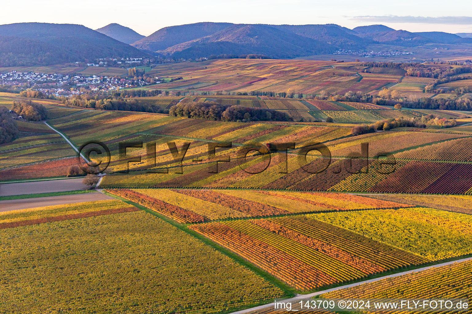 Vue oblique de Vignobles du sud de la Wienstraße dans les feuilles d'automne à le quartier Klingen in Heuchelheim-Klingen dans le département Rhénanie-Palatinat, Allemagne