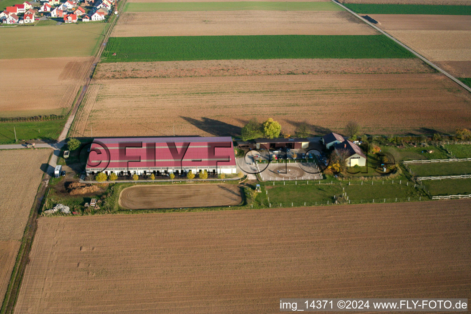 Vue aérienne de Cour à poulains à Steinweiler dans le département Rhénanie-Palatinat, Allemagne