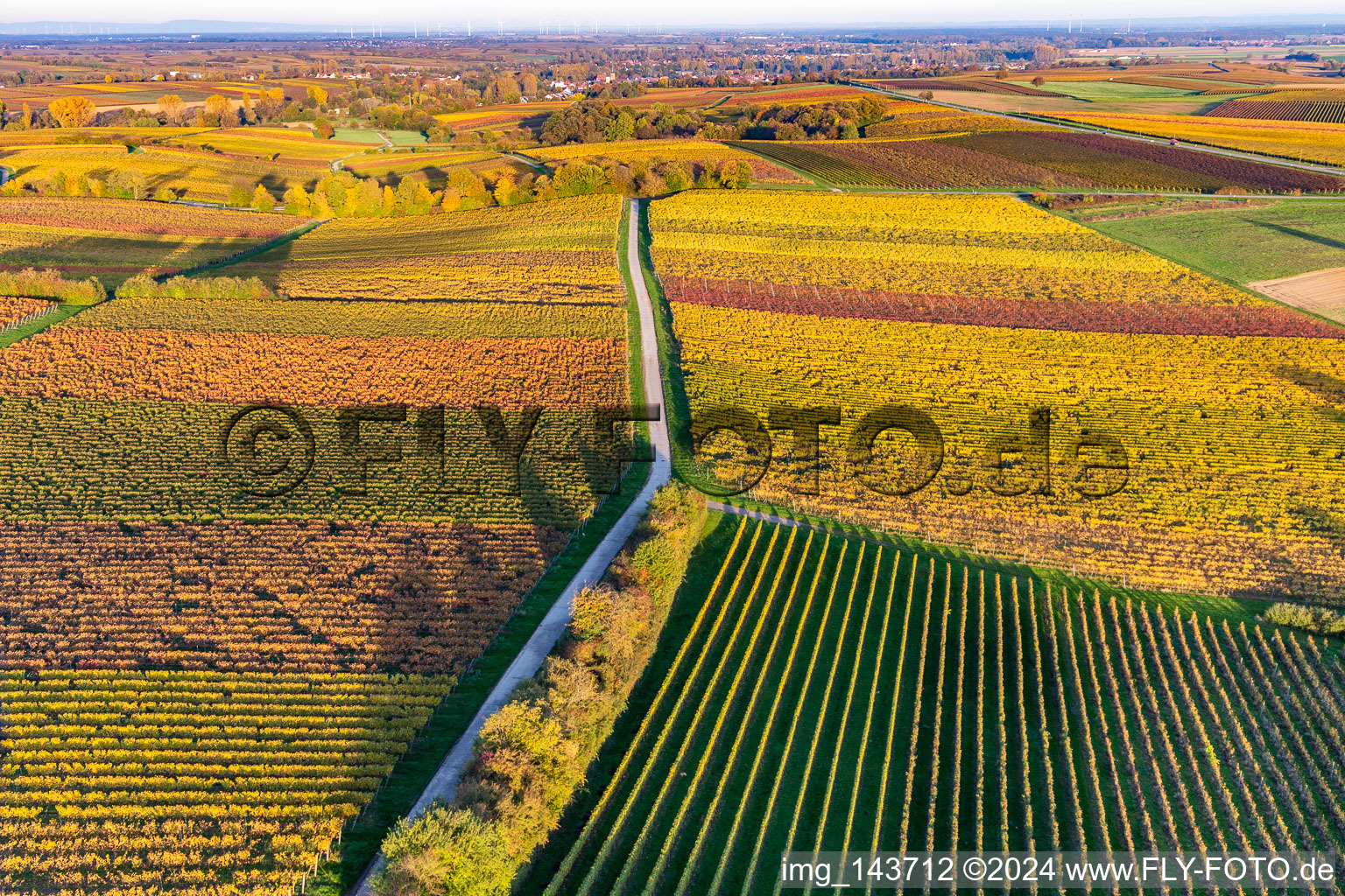 Vignobles du sud de la Wienstraße dans les feuilles d'automne à le quartier Klingen in Heuchelheim-Klingen dans le département Rhénanie-Palatinat, Allemagne hors des airs
