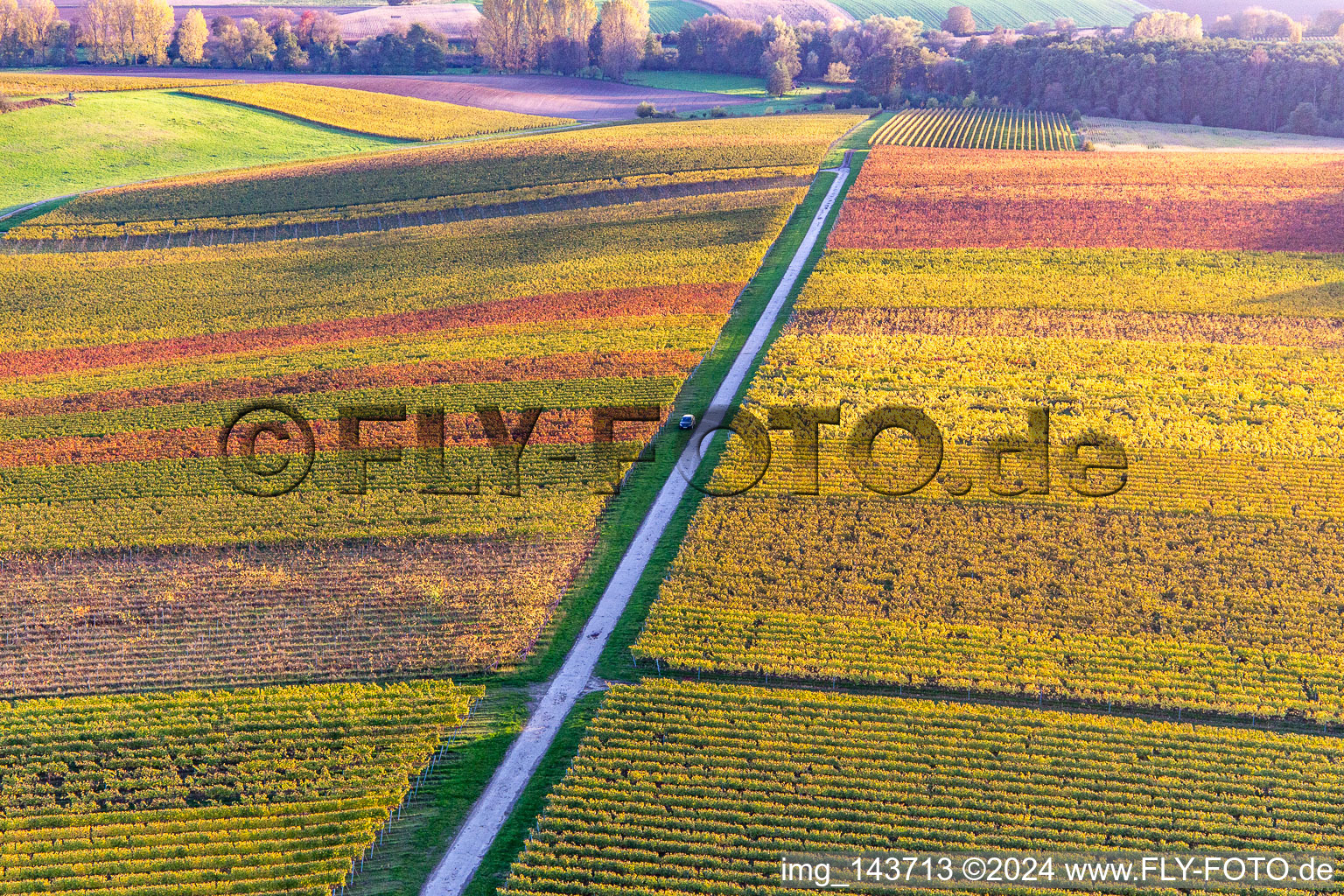 Vignobles du sud de la Wienstraße dans les feuilles d'automne à le quartier Klingen in Heuchelheim-Klingen dans le département Rhénanie-Palatinat, Allemagne vue d'en haut
