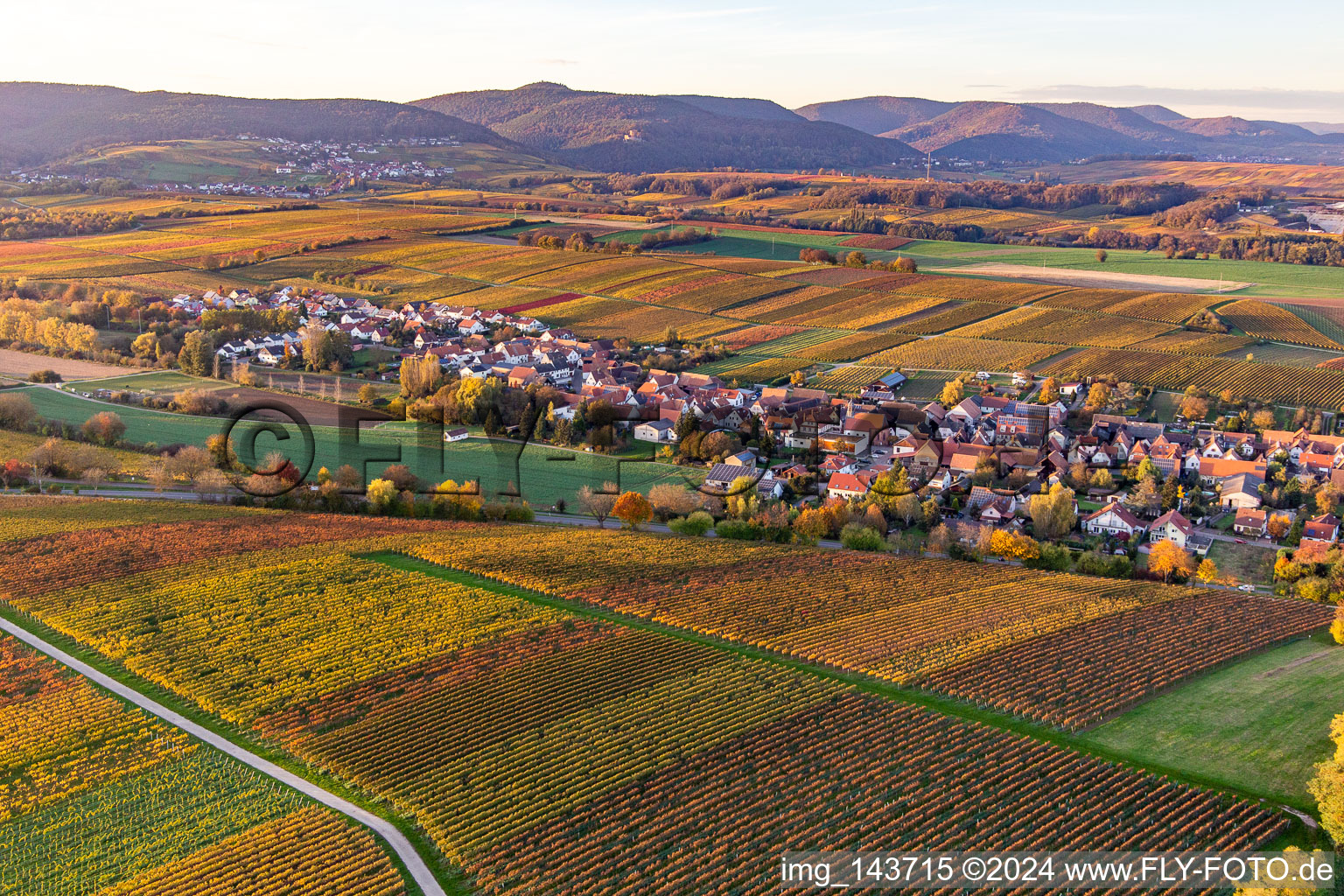 Photographie aérienne de Ville du sud-est à Niederhorbach dans le département Rhénanie-Palatinat, Allemagne