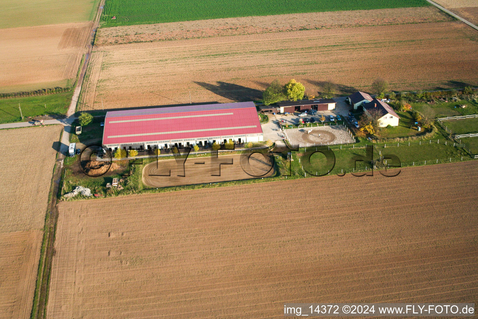 Vue aérienne de Cour à poulains à Steinweiler dans le département Rhénanie-Palatinat, Allemagne