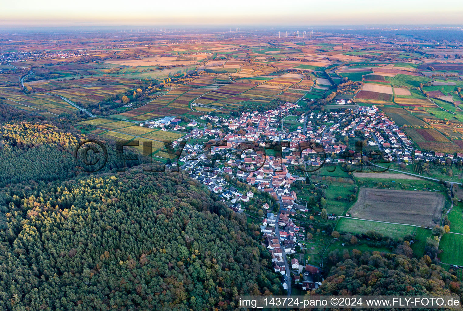 Image drone de Quartier Rechtenbach in Schweigen-Rechtenbach dans le département Rhénanie-Palatinat, Allemagne