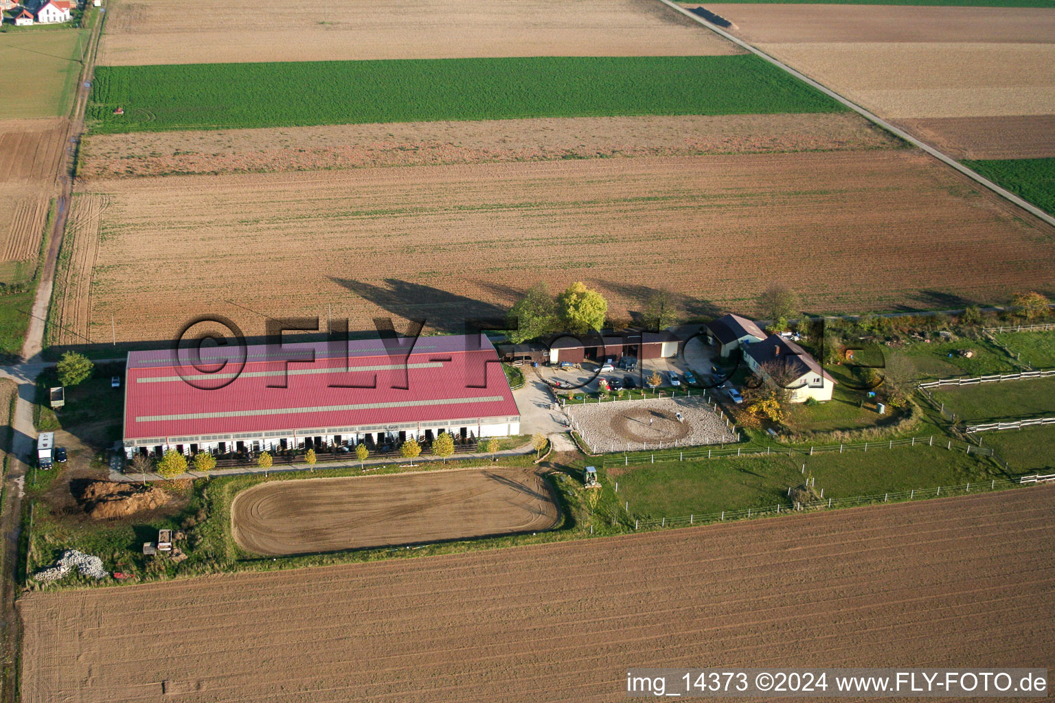 Photographie aérienne de Cour à poulains à Steinweiler dans le département Rhénanie-Palatinat, Allemagne