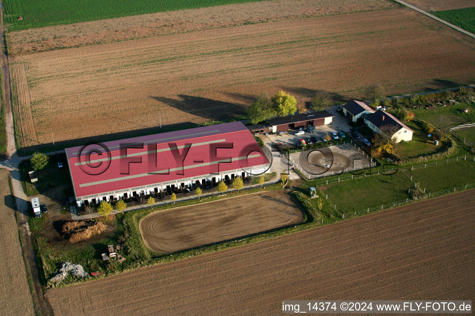 Vue oblique de Cour à poulains à Steinweiler dans le département Rhénanie-Palatinat, Allemagne