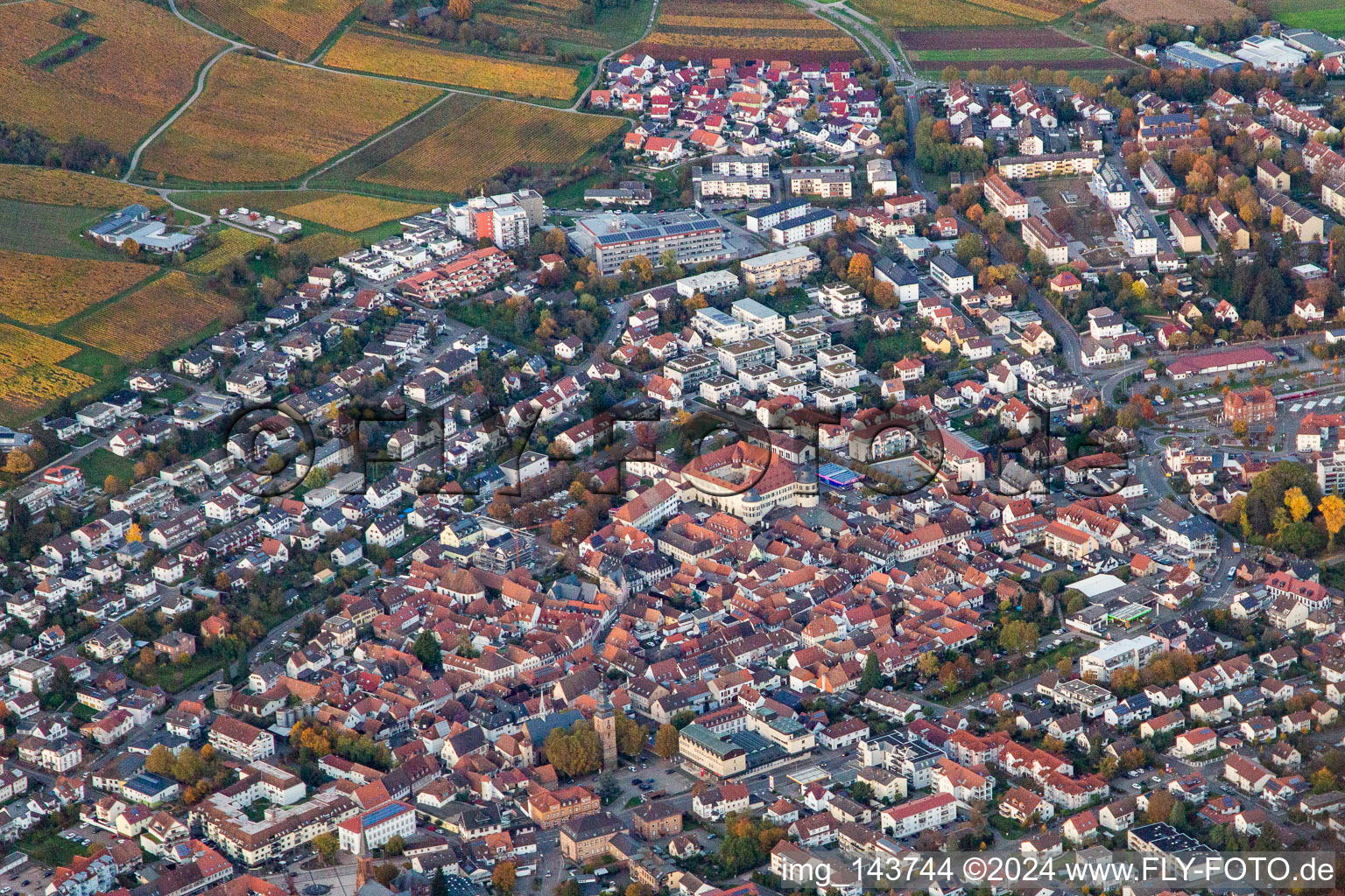 Vue aérienne de Ville du sud-ouest à Bad Bergzabern dans le département Rhénanie-Palatinat, Allemagne