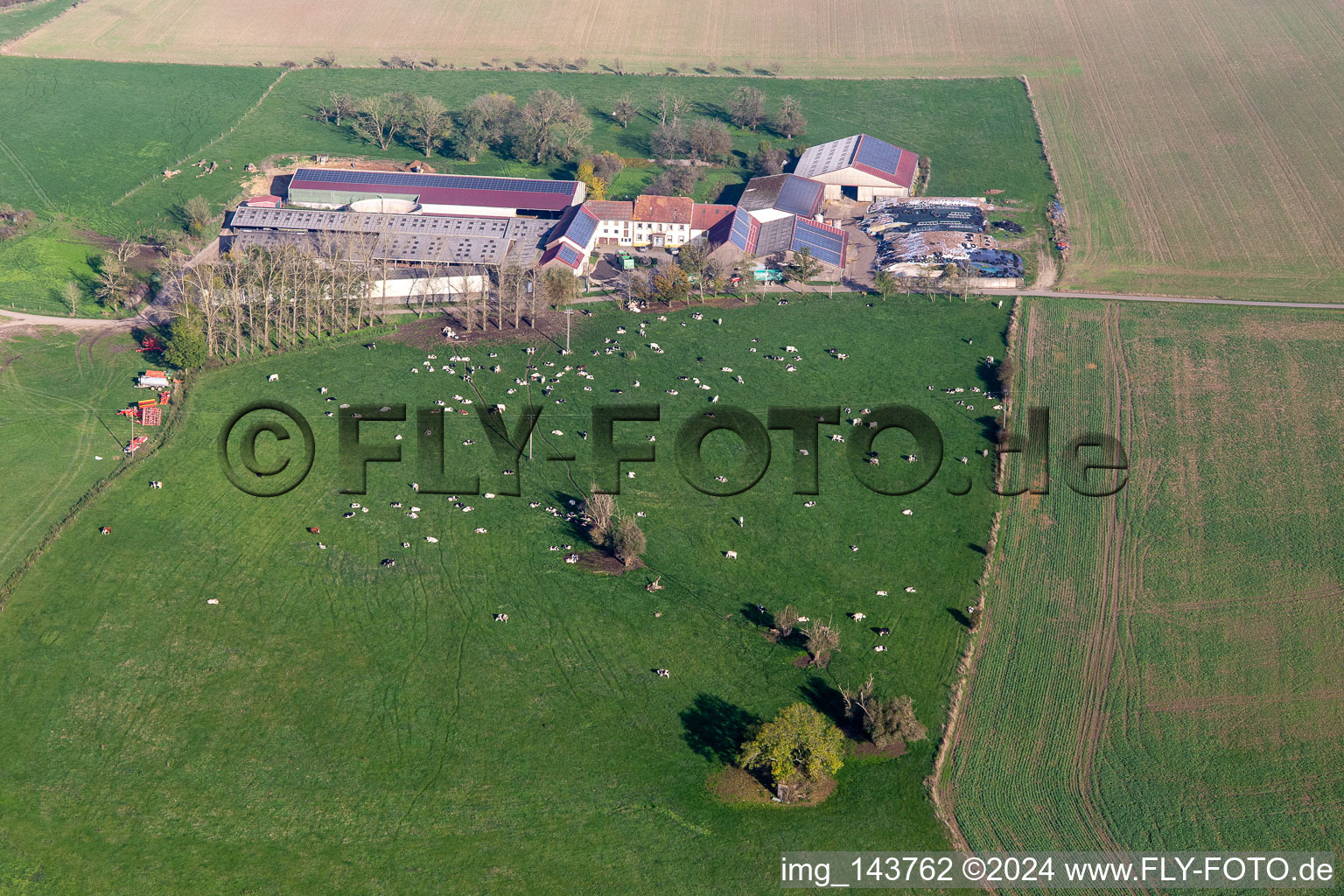 Vue aérienne de Ferme Karleskind Guy à Gros-Réderching dans le département Moselle, France