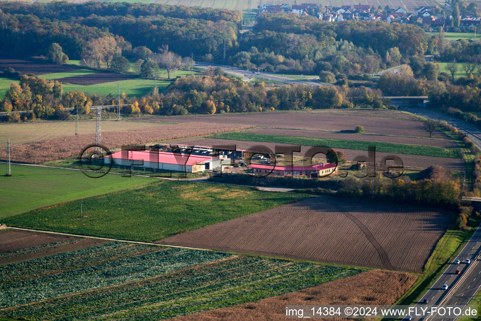 Ferme d'œufs de ferme de poulets à Erlenbach bei Kandel dans le département Rhénanie-Palatinat, Allemagne hors des airs