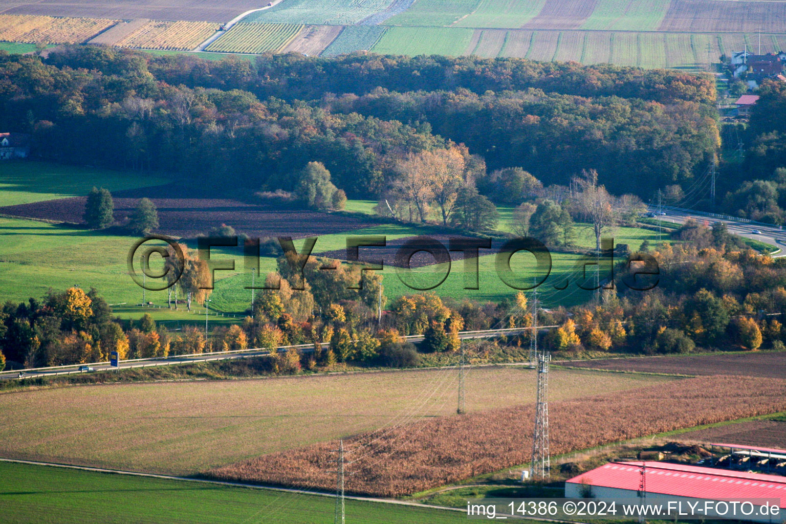 Erlenbach bei Kandel dans le département Rhénanie-Palatinat, Allemagne du point de vue du drone