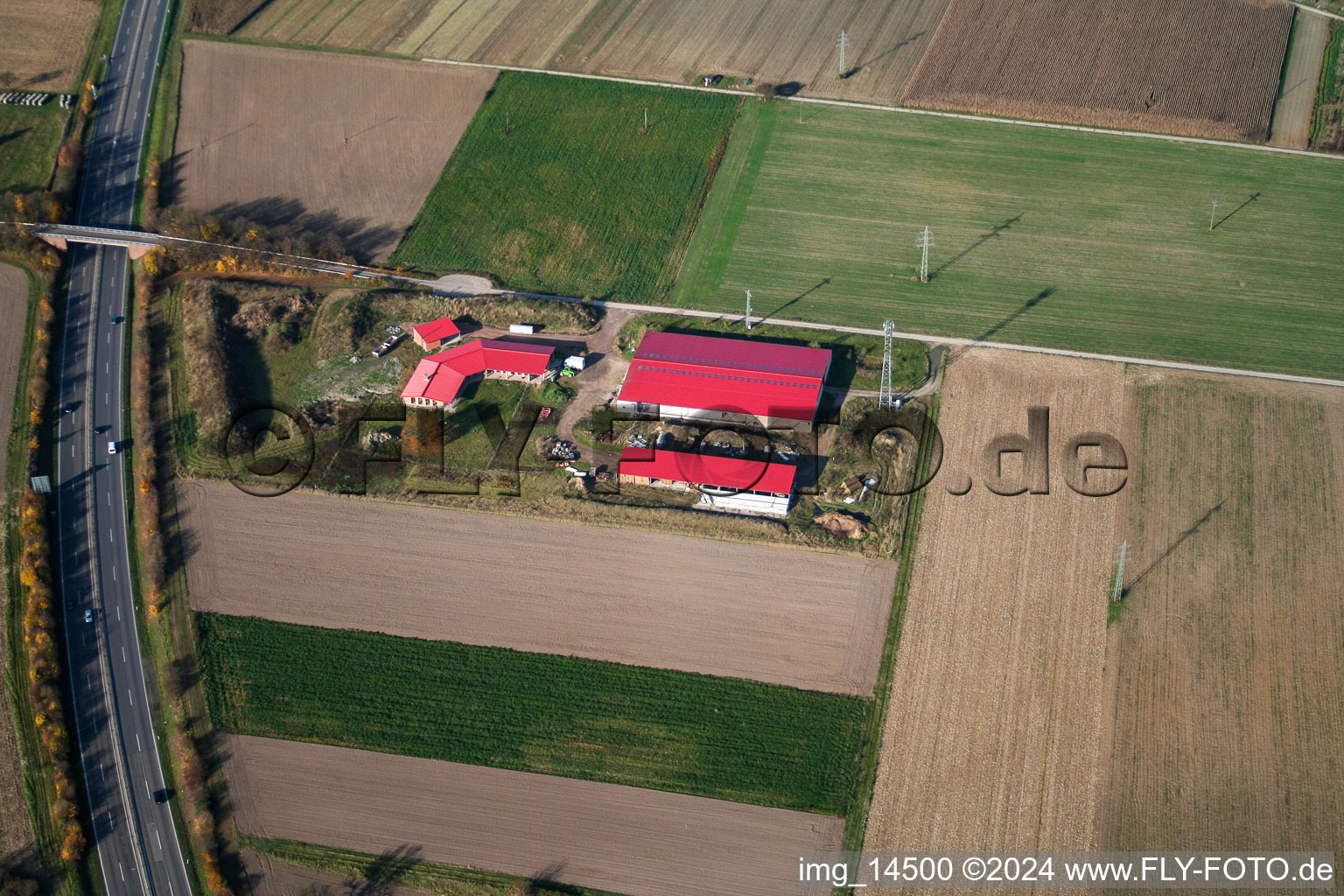 Ferme d'œufs de ferme de poulets à Erlenbach bei Kandel dans le département Rhénanie-Palatinat, Allemagne vue d'en haut